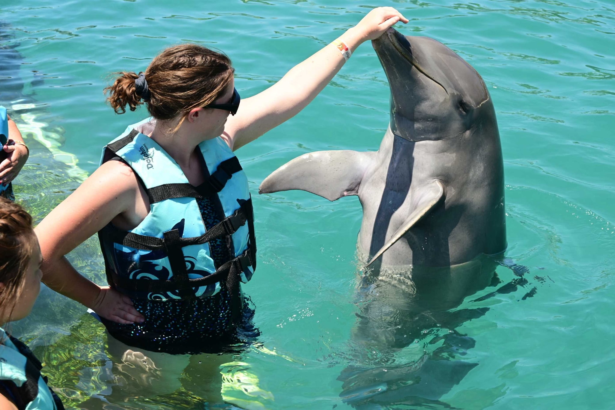 Shore Excursions